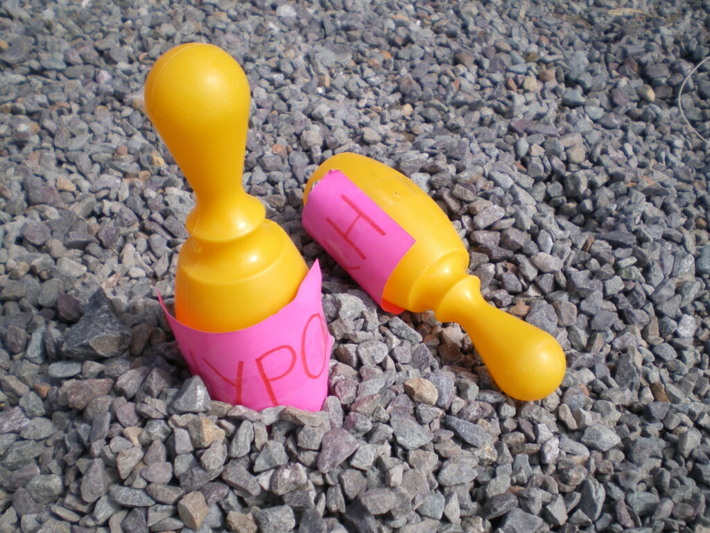 IMGP2210