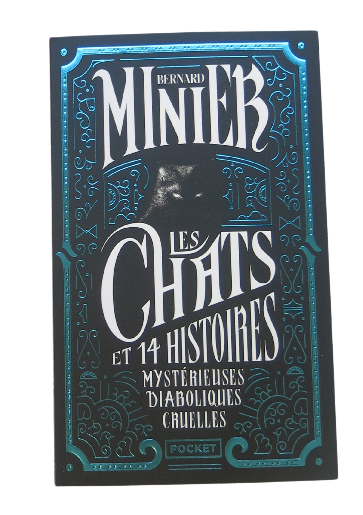 les chats bernard minier